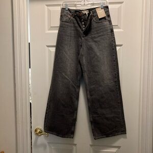 NWT ** Madewell ** Petite Low-Slung Baggy Jeans Size P26 - Color Kingswood Wash